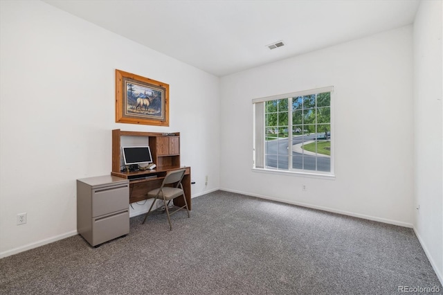11030 Glacier Park Cir, Parker, CO 80138 - carpeted office space featuring baseboards