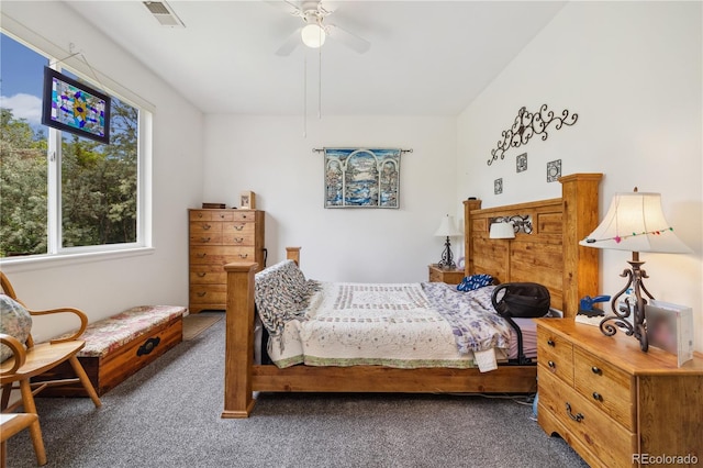 11030 Glacier Park Cir, Parker, CO 80138 - carpeted bedroom featuring a ceiling fan