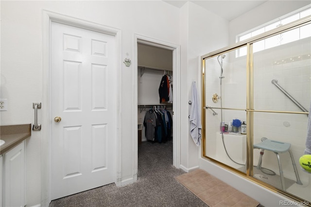11030 Glacier Park Cir, Parker, CO 80138 - bathroom featuring a stall shower, a spacious closet, and vanity
