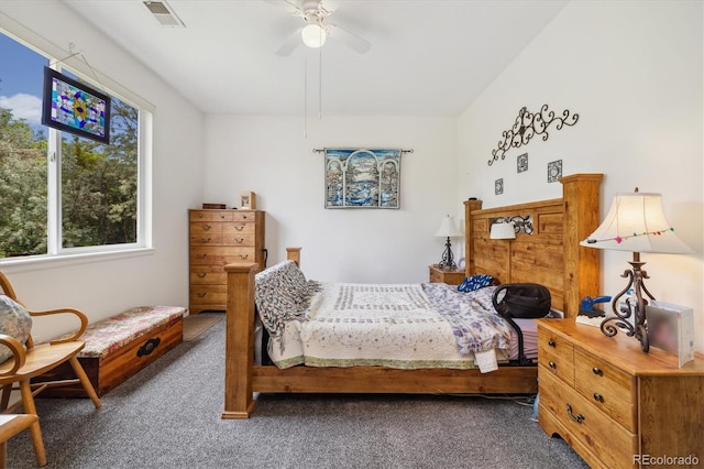 11030 Glacier Park Cir, Parker, CO 80138 - carpeted bedroom featuring a ceiling fan