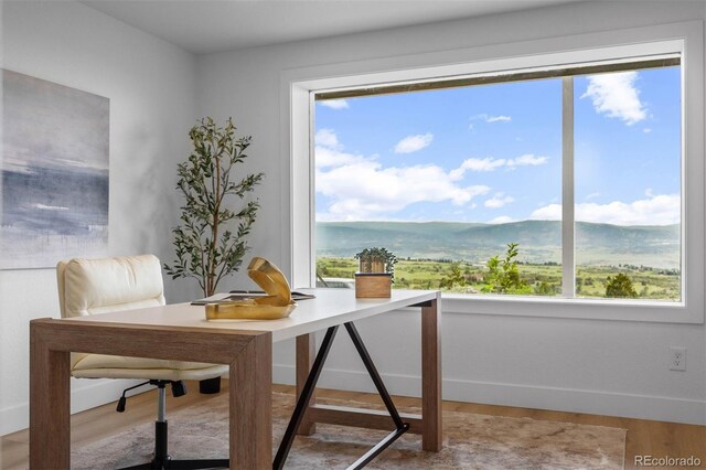 974 N Faver Dr, Castle Rock, CO 80109 - photo 31
