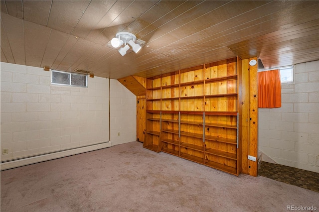 9940 N Calhan Hwy, Calhan, CO 80808 - basement with a baseboard radiator, carpet flooring, and concrete block wall