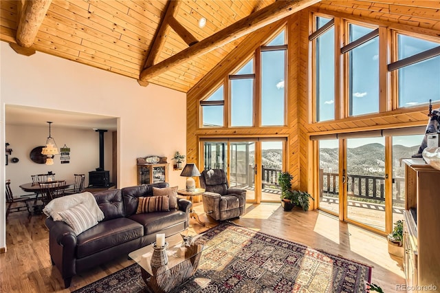 10450 Hondah Dr, Littleton, CO 80127 - living area featuring a wood stove, wood ceiling, hardwood / wood-style flooring, a mountain view, and beam ceiling
