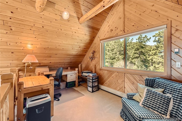 10450 Hondah Dr, Littleton, CO 80127 - carpeted office space with lofted ceiling, wood walls, wood ceiling, and baseboard heating