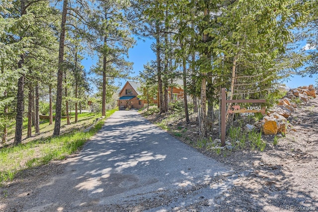 10450 Hondah Dr, Littleton, CO 80127 - view of asphalt driveway