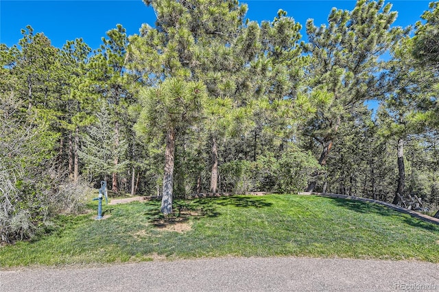 10450 Hondah Dr, Littleton, CO 80127 - view of green lawn