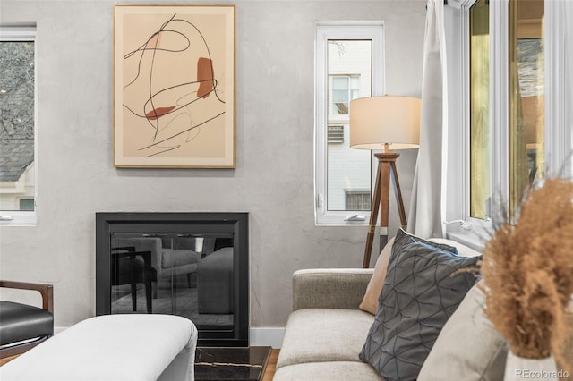 1220 Ash St, Denver, CO 80220 - living area featuring a glass covered fireplace