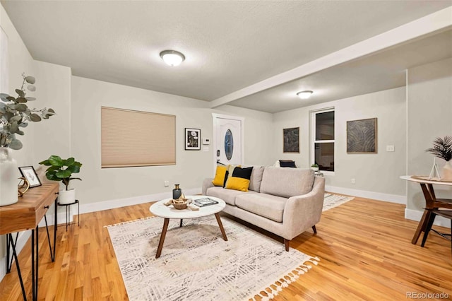 living room with wood-type flooring and a textured ceiling