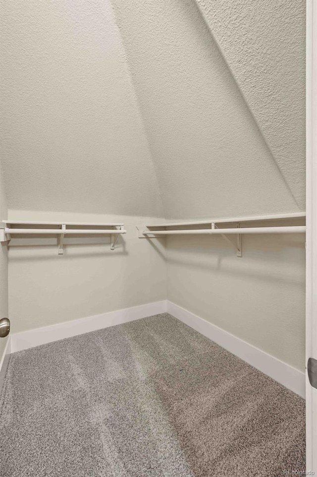 spacious closet featuring lofted ceiling and carpet