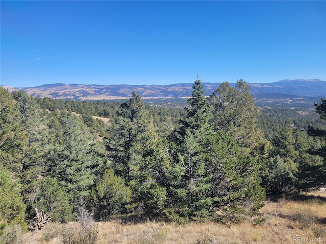 200 Brittany Rd, Westcliffe CO, 81252 land for sale