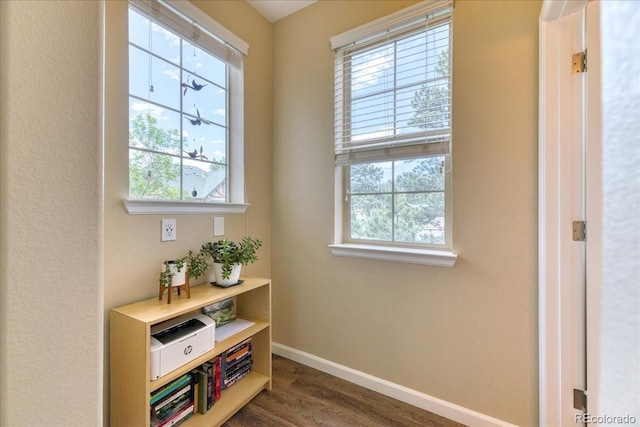31112 Black Eagle Dr Unit 101, Evergreen, CO 80439 - detailed view of baseboards and wood finished floors