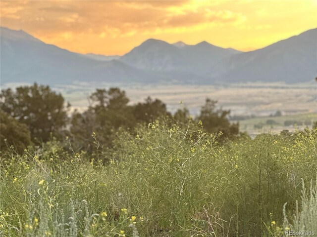 28750 County Road 304, Buena Vista, CO 81211 - photo 10
