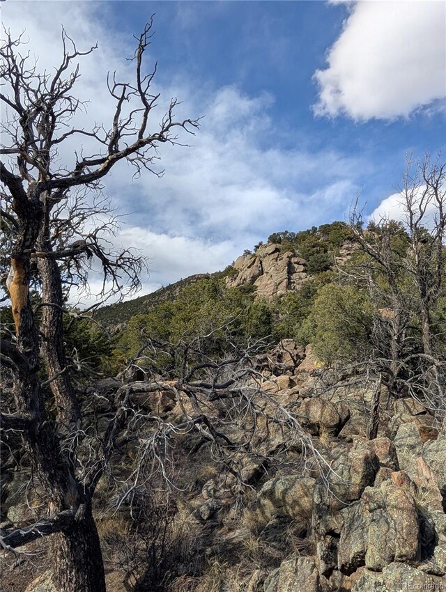 28750 County Road 304, Buena Vista, CO 81211 - photo 11
