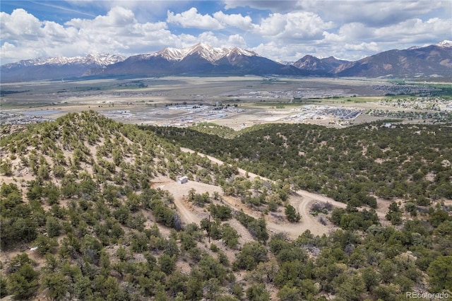 28750 County Road 304, Buena Vista, CO 81211 - photo 24