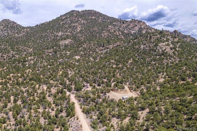 28750 County Road 304, Buena Vista, CO 81211 - photo 25