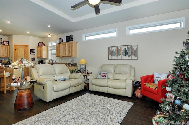 living room featuring sink, a tray ceiling, dark wood-type flooring, and ceiling fan