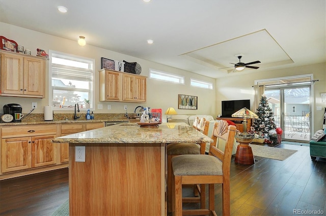 kitchen with dark wood-type flooring, light stone counters, a kitchen breakfast bar, and a tray ceiling