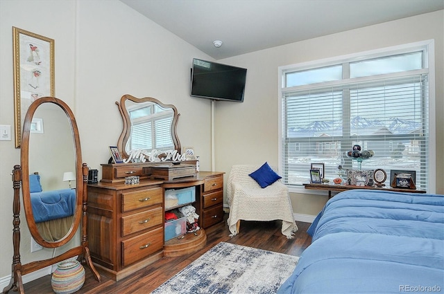 bedroom featuring dark hardwood / wood-style flooring and vaulted ceiling