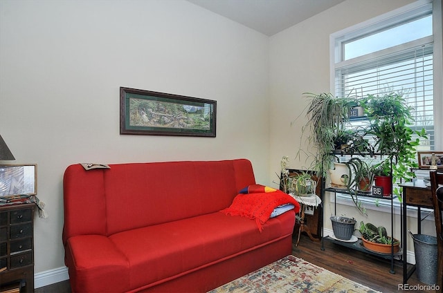 living room with dark hardwood / wood-style floors