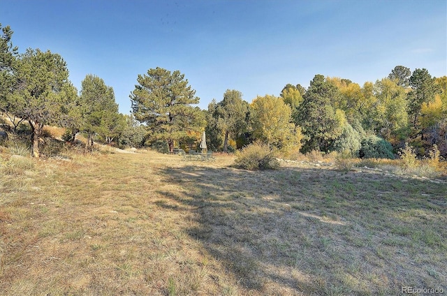 27665 County Road 313 Unit 11, Buena Vista, CO 81211 - view of woods