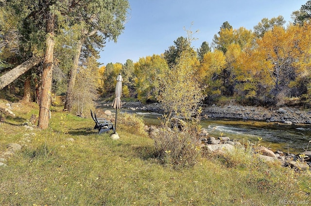 27665 County Road 313 Unit 11, Buena Vista, CO 81211 - view of yard
