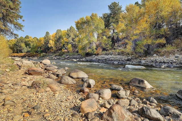 27665 County Road 313 Unit 11, Buena Vista, CO 81211 - view of yard with a wooded view