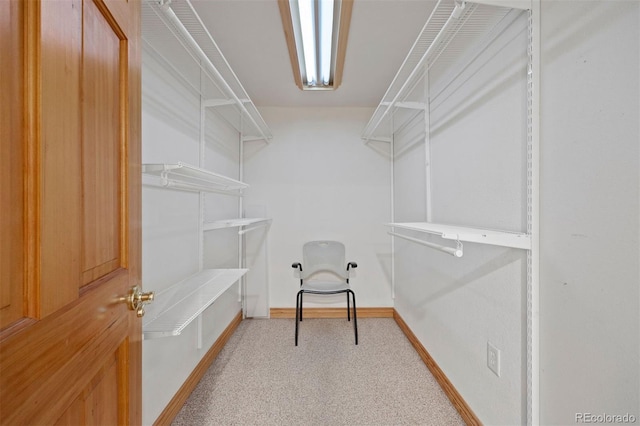971 S Ironton St, Aurora, CO 80012 - walk in closet with carpet floors