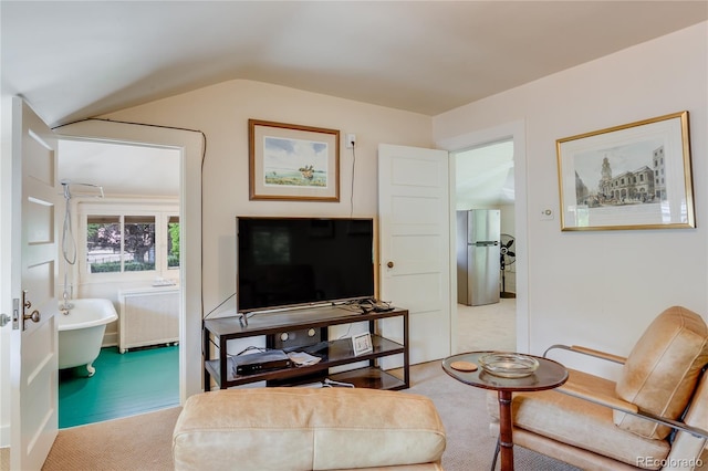 199 Lafayette St, Denver, CO 80218 - living room featuring radiator heating unit and vaulted ceiling