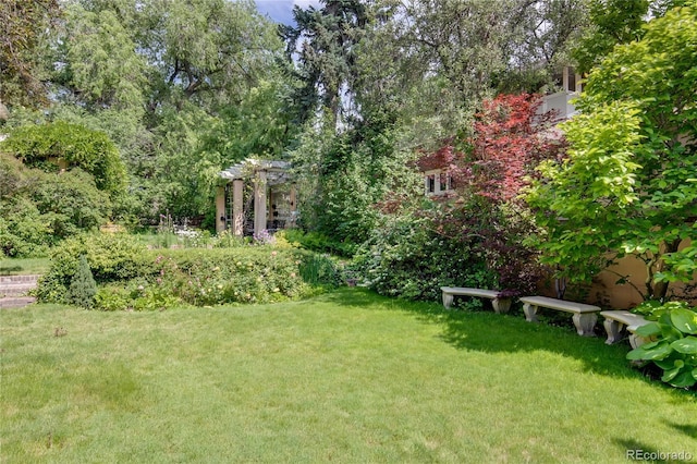 199 Lafayette St, Denver, CO 80218 - view of grassy yard