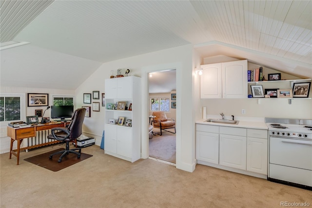 199 Lafayette St, Denver, CO 80218 - office featuring vaulted ceiling and light carpet