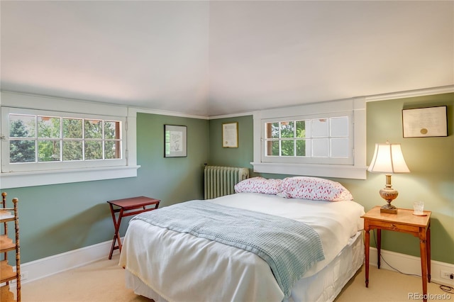 199 Lafayette St, Denver, CO 80218 - bedroom featuring radiator heating unit, carpet floors, and vaulted ceiling