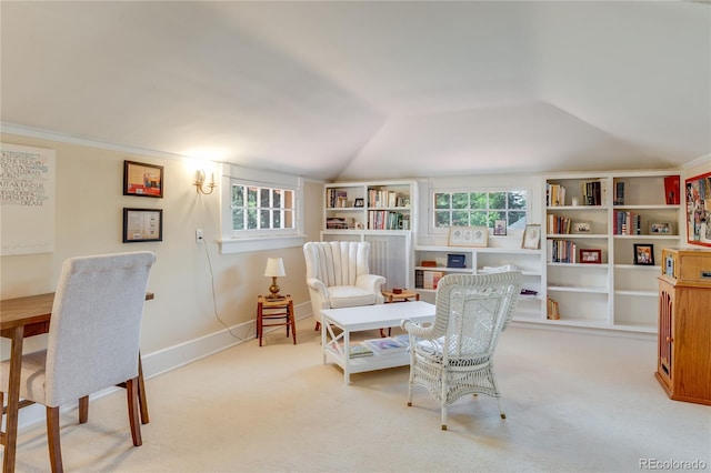 199 Lafayette St, Denver, CO 80218 - sitting room featuring healthy amount of natural light, vaulted ceiling, and carpet floors