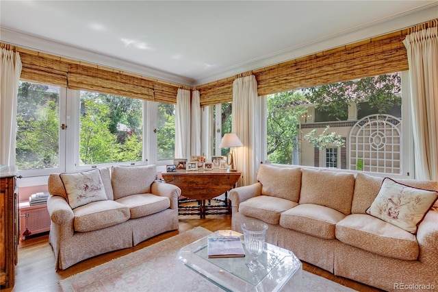 199 Lafayette St, Denver, CO 80218 - sunroom / solarium with french doors, healthy amount of natural light, wood finished floors, and ornamental molding