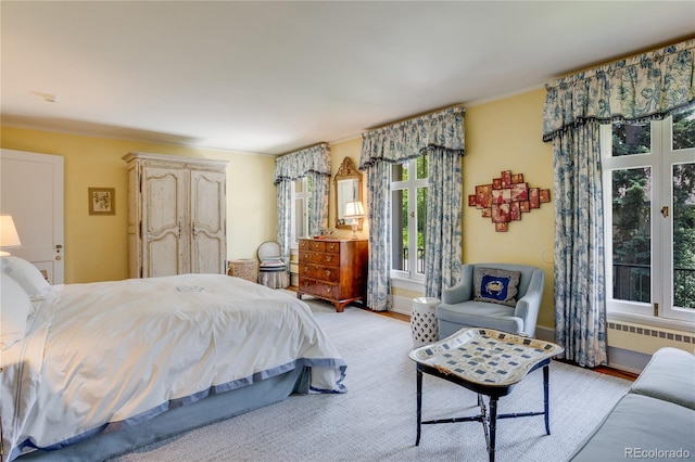 199 Lafayette St, Denver, CO 80218 - bedroom with radiator, light wood-type flooring, and crown molding