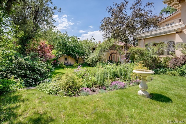 199 Lafayette St, Denver, CO 80218 - view of grassy yard