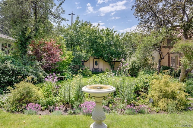 199 Lafayette St, Denver, CO 80218 - view of yard