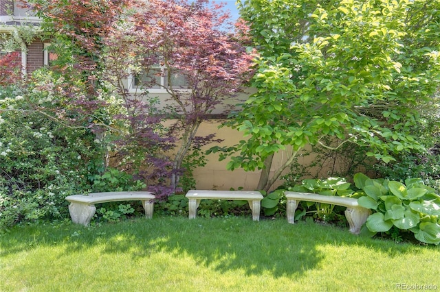 199 Lafayette St, Denver, CO 80218 - view of grassy yard