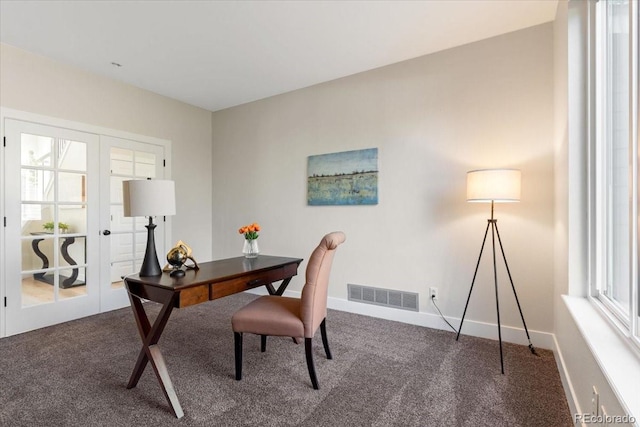 2089 Meadow Sweet Ln, Erie, CO 80516 - office space with carpet and french doors
