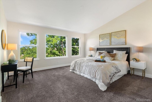 2089 Meadow Sweet Ln, Erie, CO 80516 - carpeted bedroom with vaulted ceiling and baseboards