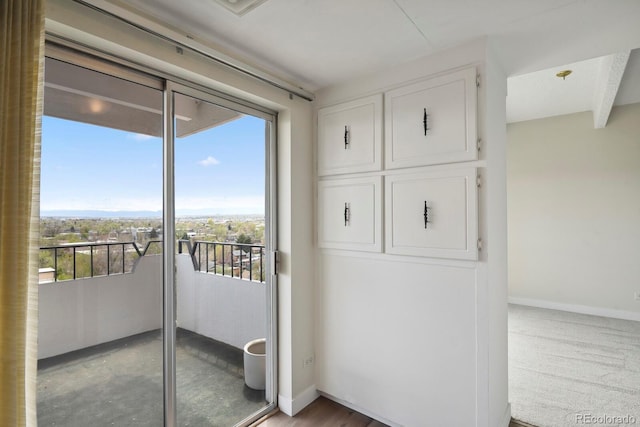 130 N Pearl St Unit 1103, Denver, CO 80203 - view of closet