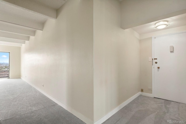 130 N Pearl St Unit 1103, Denver, CO 80203 - corridor with carpet and baseboards