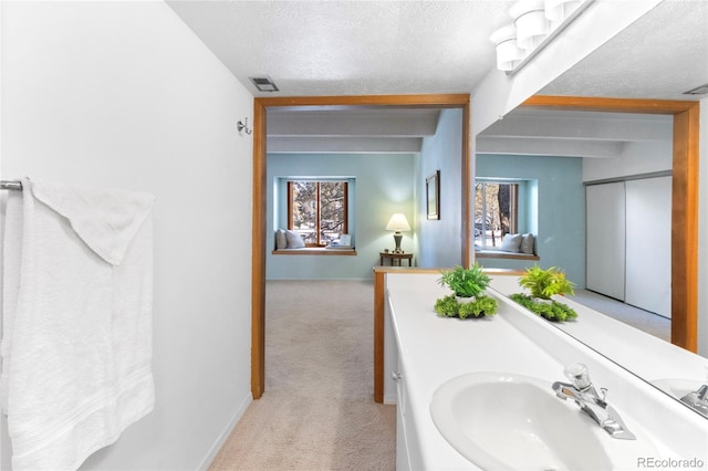 bathroom featuring a sink and a textured ceiling