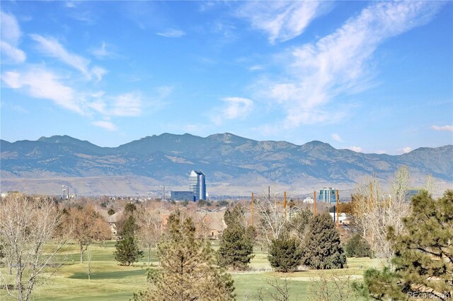 2525 S Dayton Way Unit 1514, Denver, CO 80231 - photo 33