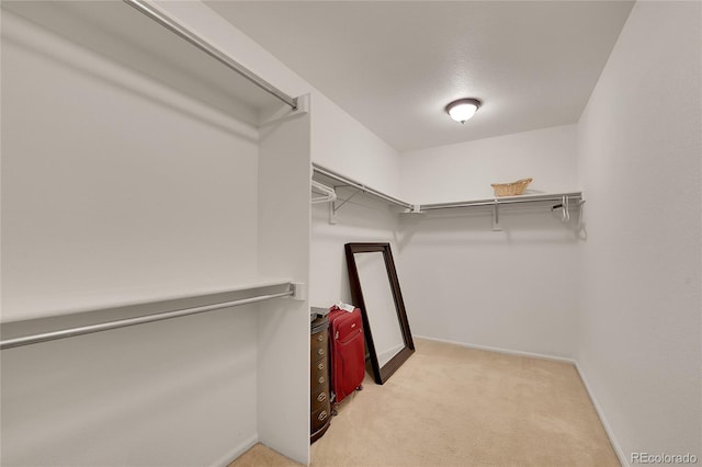 2972 W Long Dr Unit C, Littleton, CO 80120 - spacious closet featuring light carpet