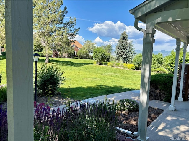 2972 W Long Dr Unit C, Littleton, CO 80120 - view of grassy yard