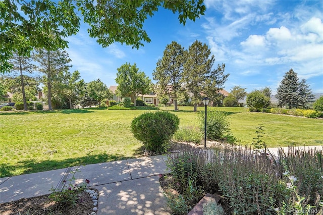 2972 W Long Dr Unit C, Littleton, CO 80120 - view of green lawn
