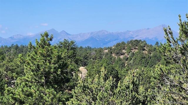 TBDL 43rd Trail, Cotopaxi, CO 81223 - photo 1