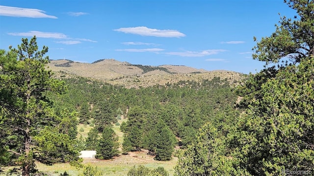 TBDL 43rd Trail, Cotopaxi, CO 81223 - photo 2