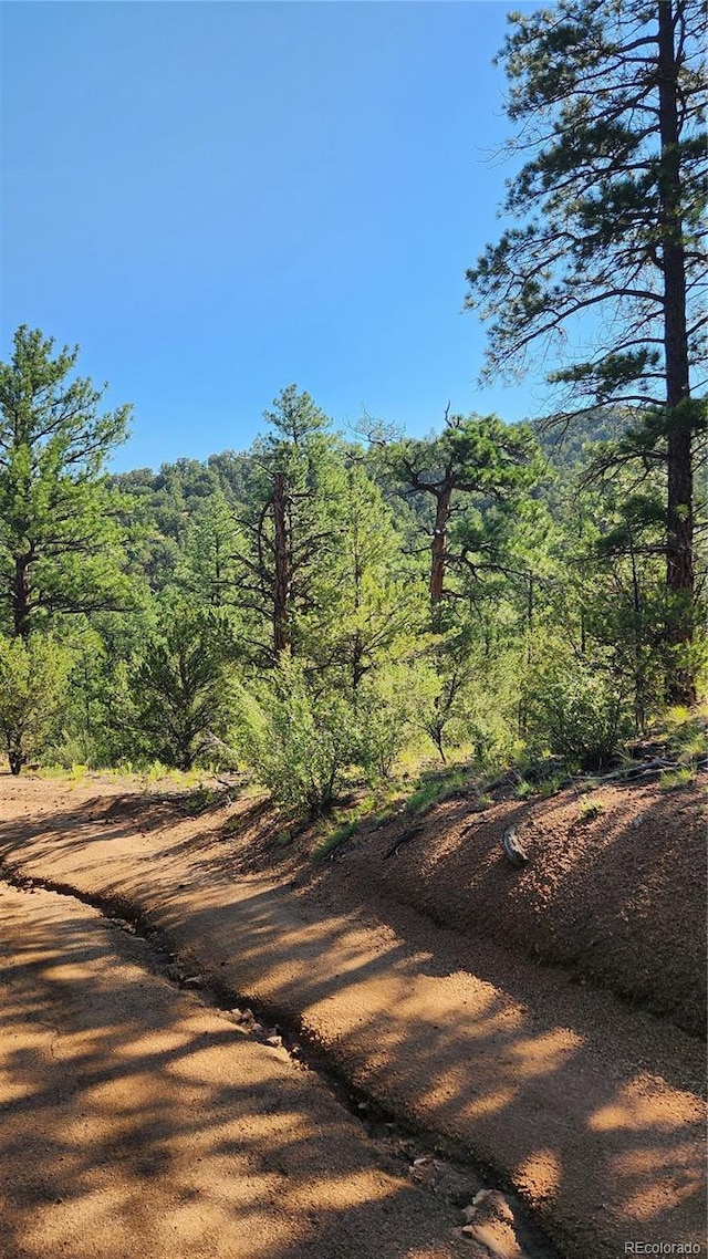 TBDL 43rd Trail, Cotopaxi, CO 81223 - photo 3