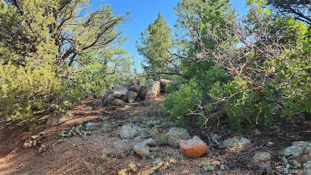 TBDL 43rd Trail, Cotopaxi, CO 81223 - photo 4